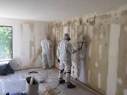 Best Post-Construction Mold Inspection  in Buffalo, WY